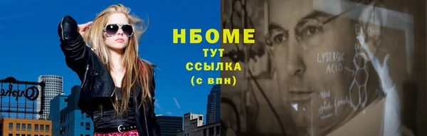 гидра Няндома