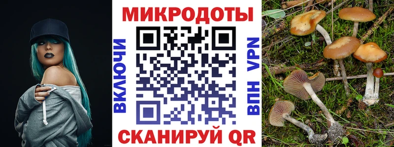 дарнет шоп  Балашов  Галлюциногенные грибы GOLDEN TEACHER 