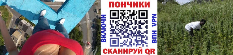 Канабис планчик  гидра ССЫЛКА  Балашов 